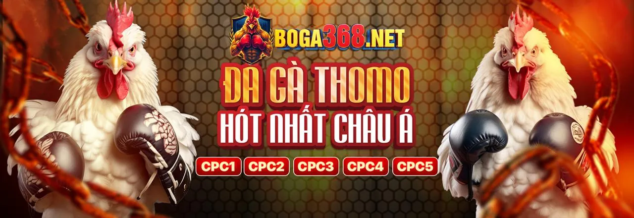 Sân vận động thể thao sôi động với logo fh bet